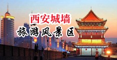 嫩逼观看中国陕西-西安城墙旅游风景区